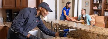 Best Emergency Pest Control  in English Creek, NJ